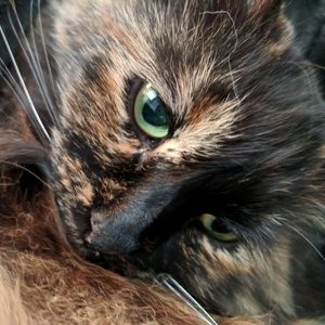 Meet your Posher, Tiffany